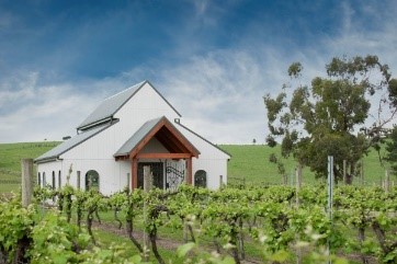 Immerse Winery
